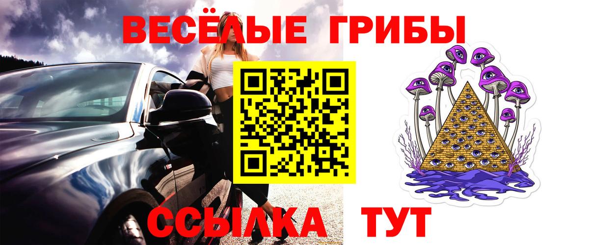 Псилоцибиновые грибы мухоморы Кингисепп