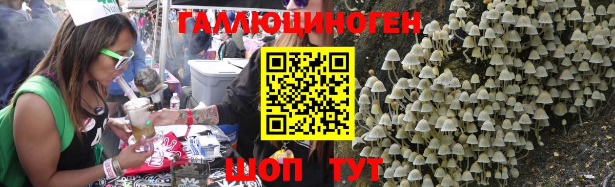 Псилоцибиновые грибы Magic Shrooms  Вход с VPN  Кингисепп  Псилоцибиновые грибы Psilocybine cubensis 